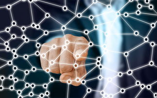 九游入口-中国篮球职业联赛青训体系的结构优化，中国青年篮球联赛简称