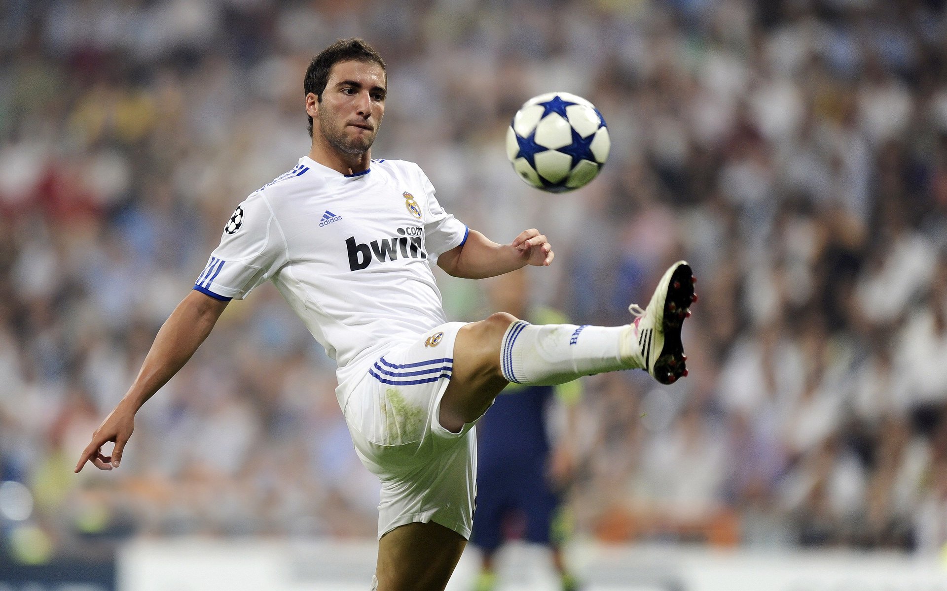 青年大爆发：未来足球领军人物全面展望，青年足球队